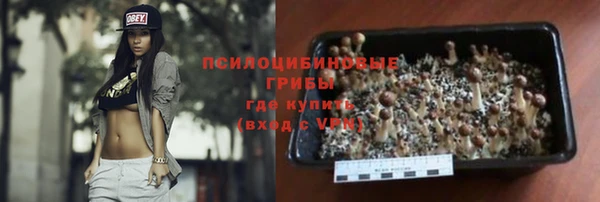 амф Алзамай
