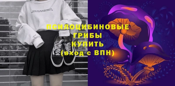ешки Алексин
